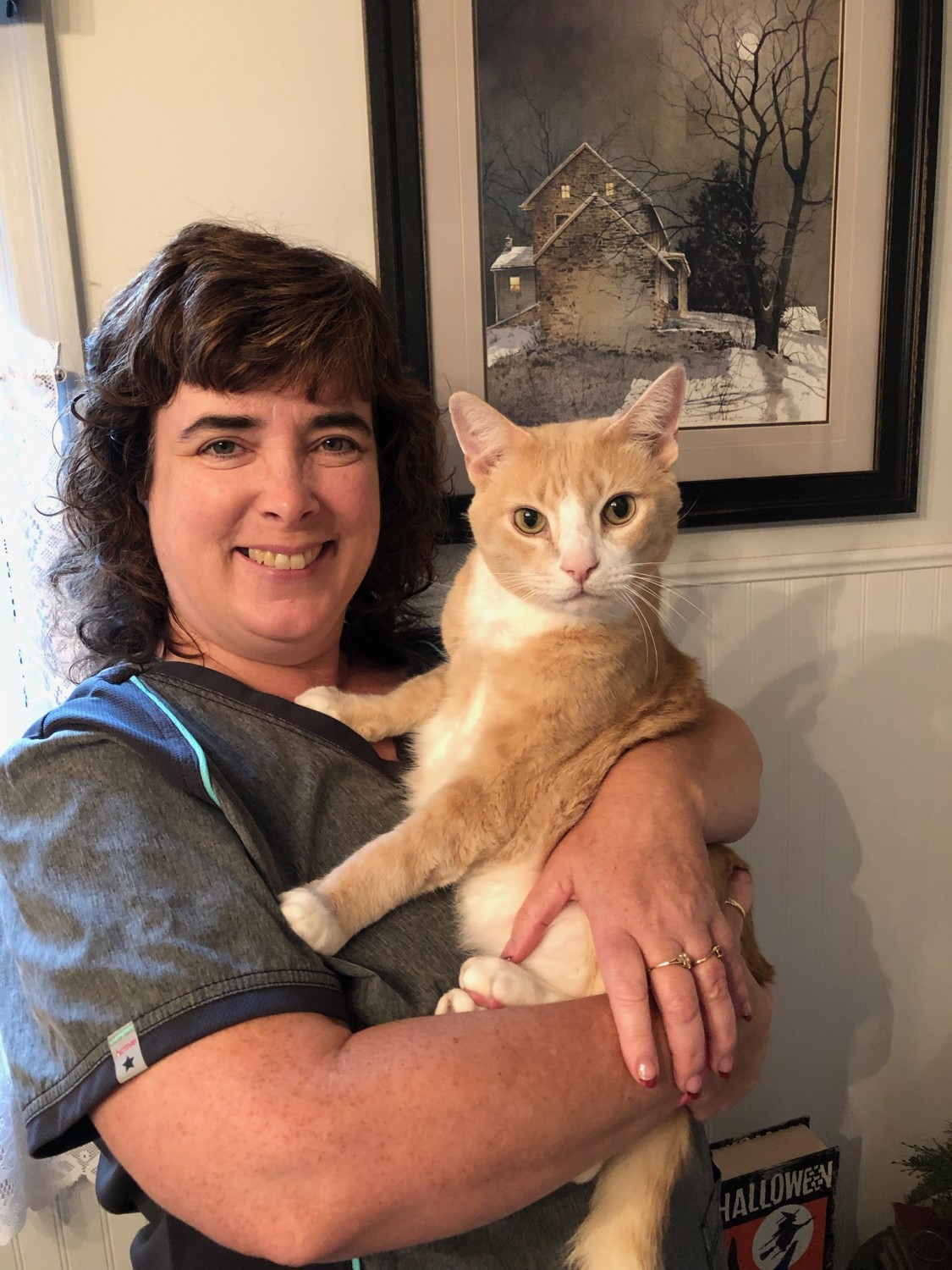 18+ Monson Animal Clinic ManaSoyool